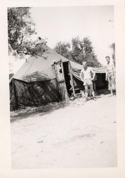 Home in the Olive Grove